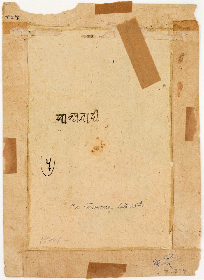 Unknown (Indian) - Portrait of a Lady - 71.324.B - Detroit Institute of Arts