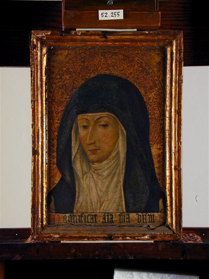 Unknown (French) - Head of the Virgin - 52.255 - Detroit Institute of Arts