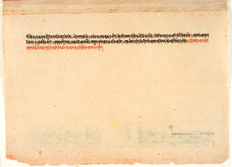 Unknown (Indian) - Cow Worship - 70.778.C - Detroit Institute of Arts