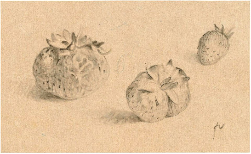 Vallotton - Trois fraises, um 1920–1925, Z.2016.27