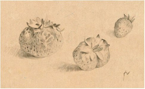 Vallotton - Trois fraises, um 1920–1925, Z.2016.27