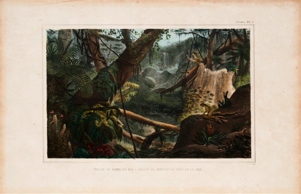 Vallée da Serra do Mar (chaine de montagnes pres de la mer), da Coleção Brasiliana Iconográfica