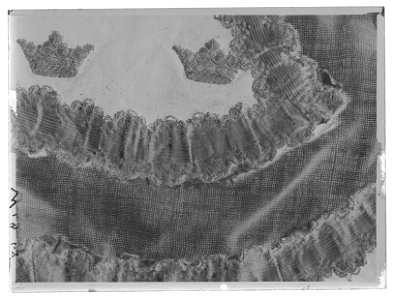 Valtrapp, tornerschabrak - Livrustkammaren - 45481-negative