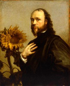 Van Dyke-Sir Kenelm Digby with Sunflower. Free illustration for personal and commercial use.