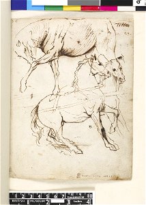 Van Dyck - 1957,1214.207.27, Horses in harness, after Titian's 'Adoration of the Magi' (Madrid), leaf from van Dyck's Italian Sketchbook