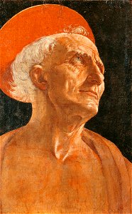 Andrea del Verrocchio - Testa di San Gerolamo; Firenze, palazzo Pitti, Galleria palatina