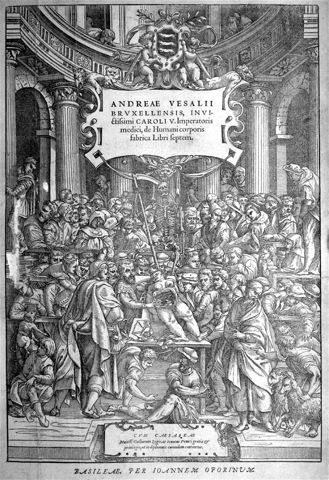 Vesalius title