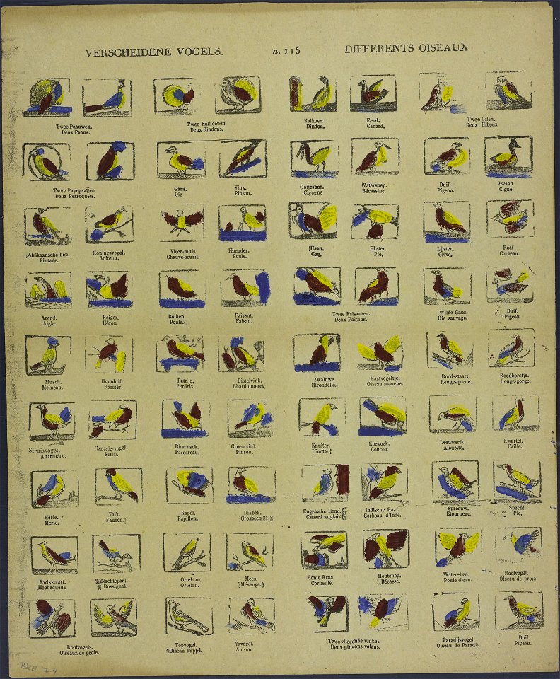 Verscheidene vogels-Catchpenny print-Borms 0230