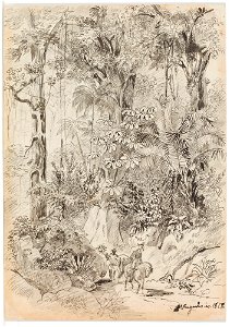 Viajantes no interior da Mata Atlântica, Rio de Janeiro (atribuído), da Coleção Brasiliana Iconográfica
