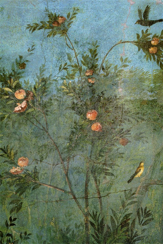 Villa di livia, affreschi di giardino, parete corta settentrionale, melograno