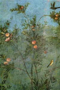 Villa di livia, affreschi di giardino, parete corta settentrionale, melograno