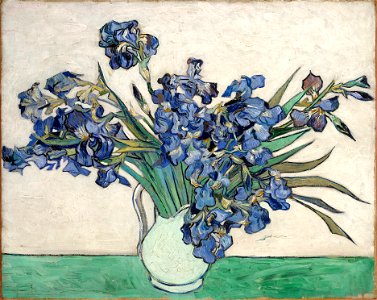 Vincent van Gogh - Irises (1890)
