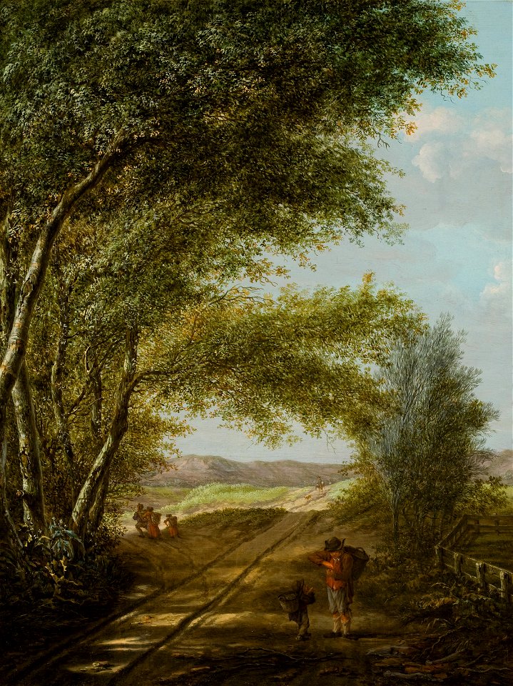 Vincent Jansz. van der Vinne - Een zandpad in de duinen bij Haarlem - BR2858 - Rijksmuseum Twenthe