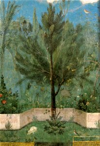 Villa di livia, affreschi di giardino, parete corta settentrionale, pino. Free illustration for personal and commercial use.