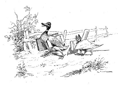 Vimar - Fables de La Fontaine - 12-07. La Chauve-souris, le Buisson et le Canard