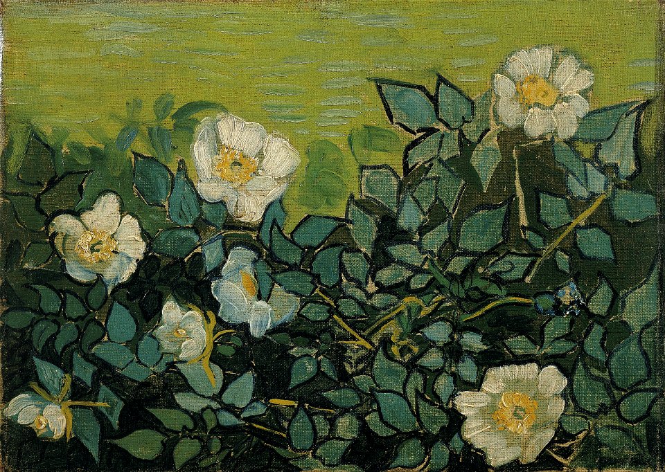 Vincent van Gogh - Wild roses - Google Art Project
