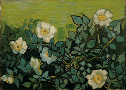 Vincent van Gogh - Wild roses - Google Art Project
