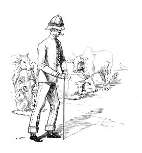 Vimar - Le Boy de Marius Bouillabès - Illustration p59