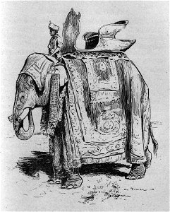 Vimar - Le Boy de Marius Bouillabès - Illustration p45