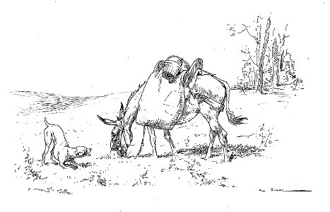 Vimar - Fables de La Fontaine - 08-16 . L'Âne et le Chien