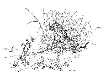 Vimar - Fables de La Fontaine - 11-01. Le Lion