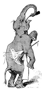 Vimar - Le Boy de Marius Bouillabès - Illustration p33
