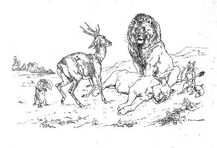 Vimar - Fables de La Fontaine - 08-13 . Les Obsèques de la lionne