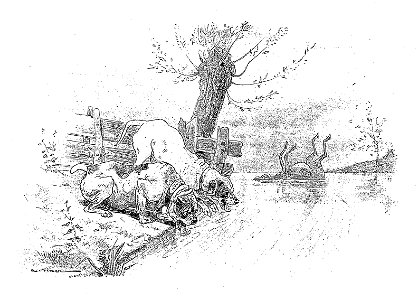 Vimar - Fables de La Fontaine - 08-24. Les Deux Chiens et l'Âne mort