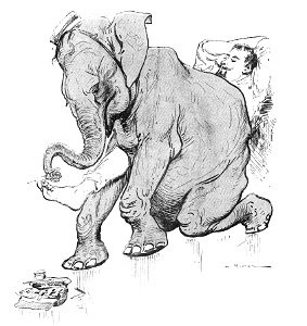 Vimar - Le Boy de Marius Bouillabès - Illustration p19