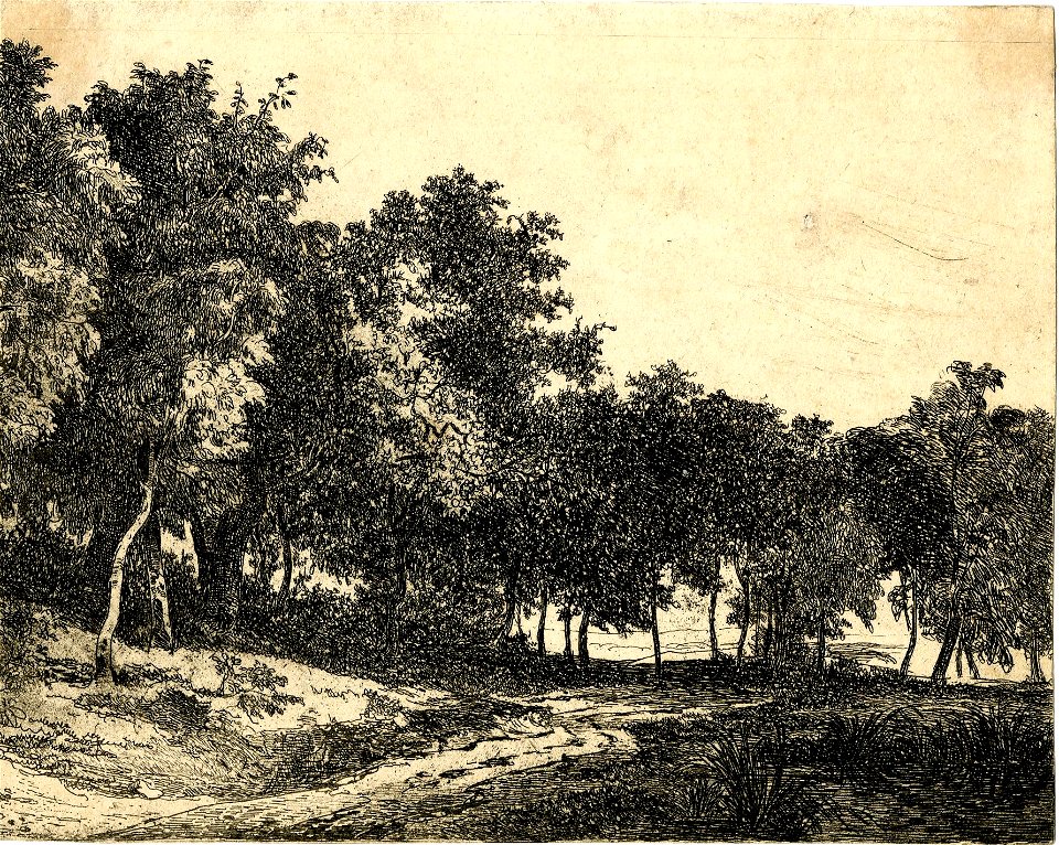 Vincent - View of a rural path from the left
