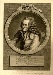 Voltaire par Denon