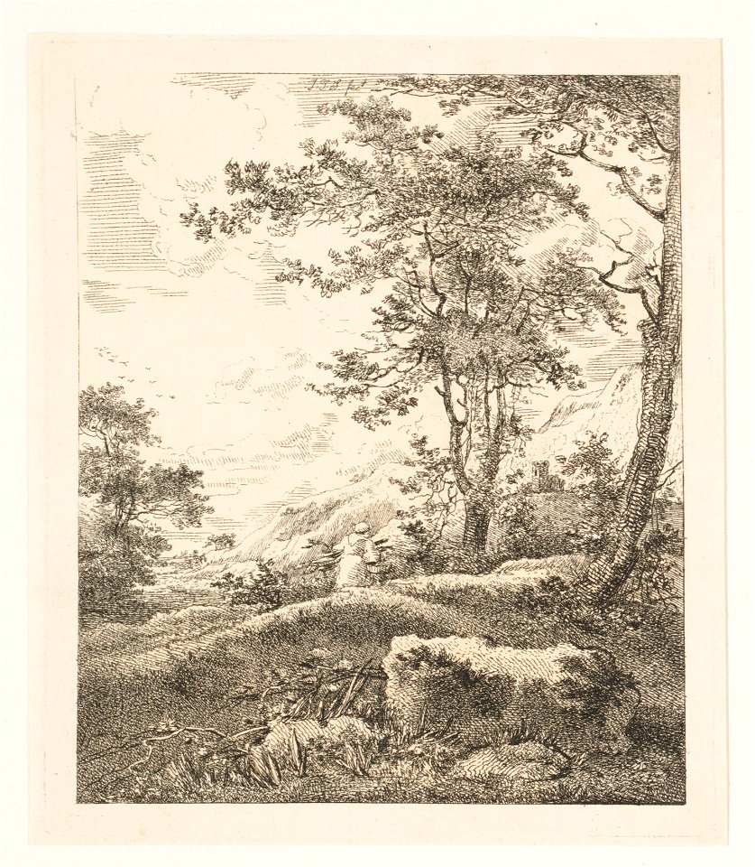 Vrouw met hout in een bos, objectnr A 14276
