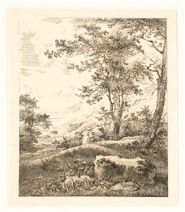 Vrouw met hout in een bos, objectnr A 14276