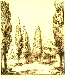 Voyage à Rome, vol 1 - 076 - Lac du Bourget