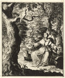 Vrouwelijke pelgrim ziet in het bos een tortelduif. Free illustration for personal and commercial use.