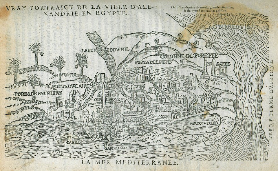 Vray portraict de la Ville d'Alexandrie en Egypte - Belon Pierre - 1554