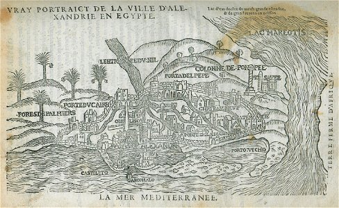 Vray portraict de la Ville d'Alexandrie en Egypte - Belon Pierre - 1554
