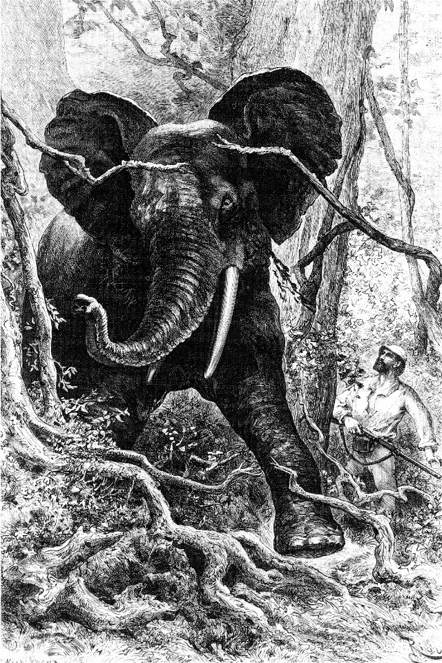 Voyage brazza elephant hunt riou 1887