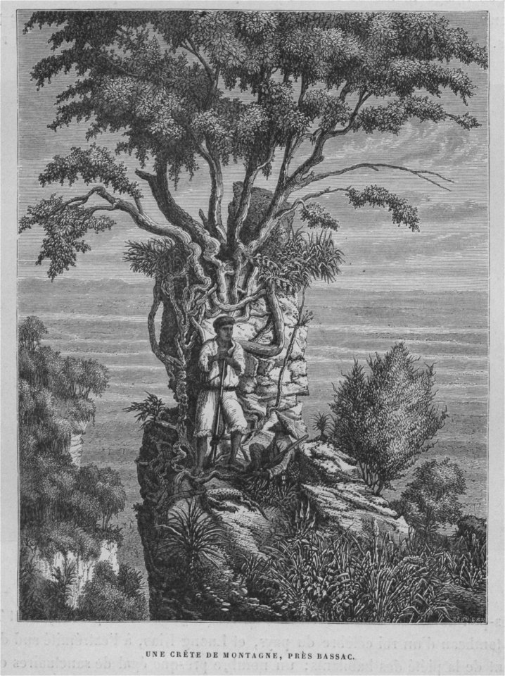 Voyage d'exploration en Indo-Chine - effectue pendant les annees 1866 1867 et 1868 - v 1 039