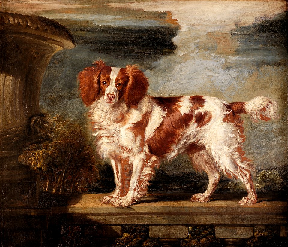 James Ward - Portrait of Dash, a Favourite Spaniel, the Property of Lady Frances Vane-Tempest - Google Art Project