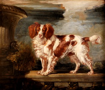 James Ward - Portrait of Dash, a Favourite Spaniel, the Property of Lady Frances Vane-Tempest - Google Art Project