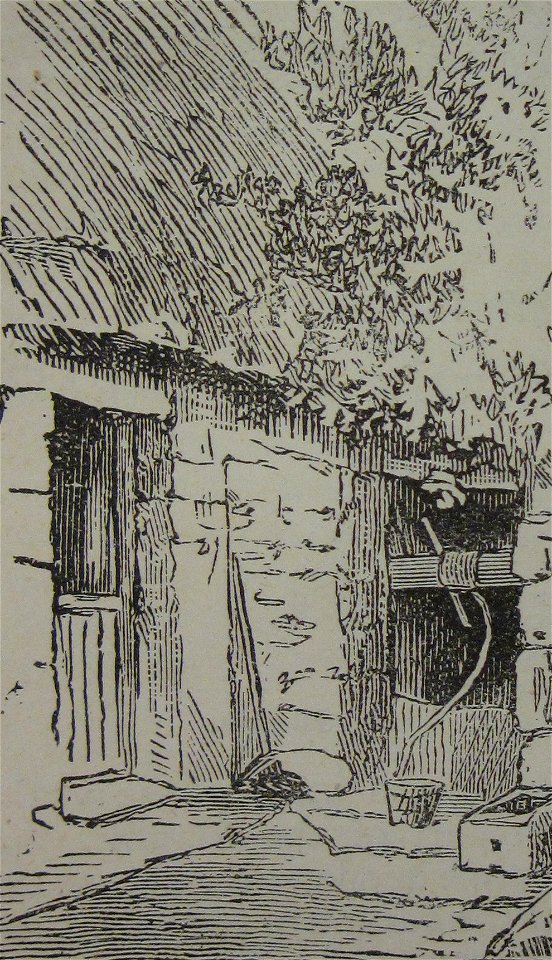 Ward Lock's Illustrated Guide to, and Popular History of the Channel Islands 1882 10