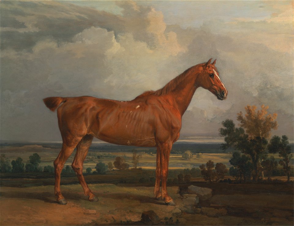 James Ward - Hunter in a landscape - Google Art Project