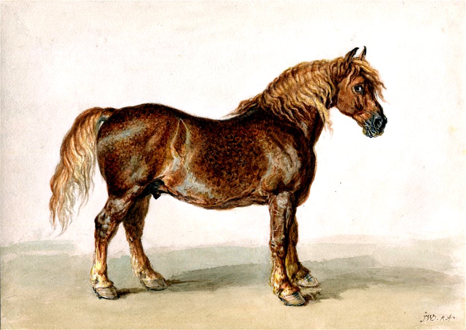 A Cart-horse by James Ward watercolour