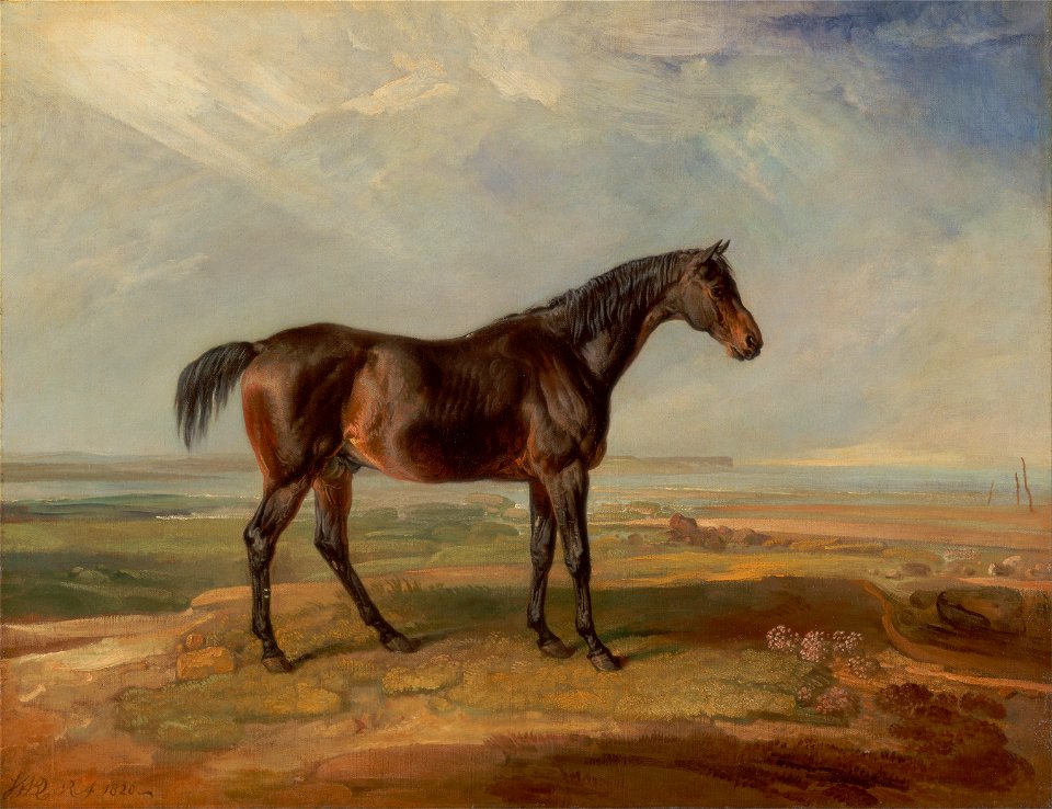 James Ward - Dr. Syntax, a Bay Racehorse, Standing in a Coastal Landscape, an Estuary Beyond - Google Art Project