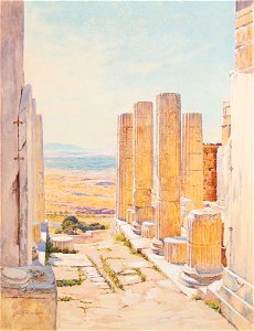 Warren Salamis from the Propylaea 2003.11