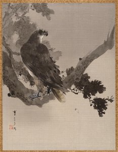 Watanabe Seitei - Eagle in a Tree - 14.76.61.60 - Metropolitan Museum of Art