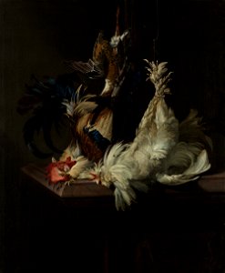 Willem van Aelst - Stilleven met gevogelte - Google Art Project. Free illustration for personal and commercial use.