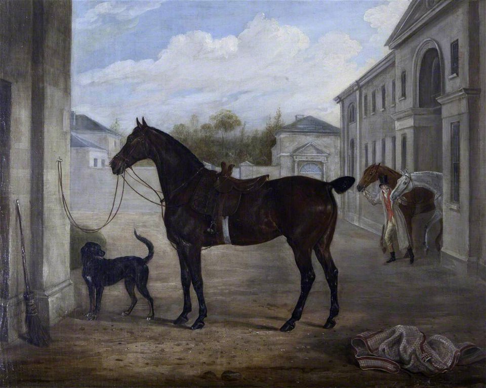 William Webb (1790-1856) - A Hunter and a Retriever outside Shugborough Stables - 1271088 - National Trust