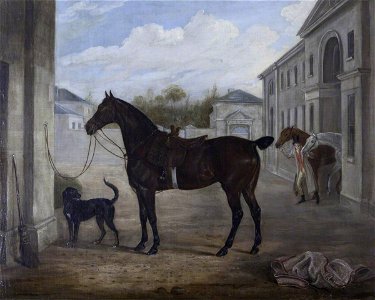 William Webb (1790-1856) - A Hunter and a Retriever outside Shugborough Stables - 1271088 - National Trust
